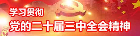 學習貫徹黨的二十屆三中全會精神