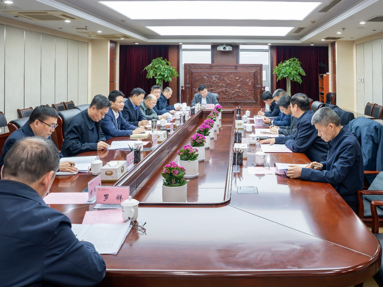 集團公司與國能神皖公司舉行工作會談